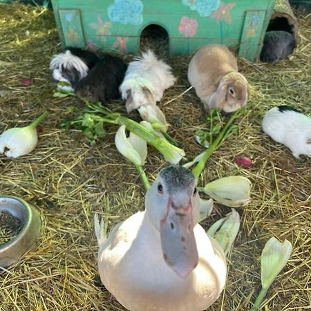 Вилла Sejour A La Ferme Jouques Экстерьер фото