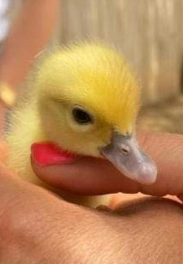 Вилла Sejour A La Ferme Jouques Экстерьер фото