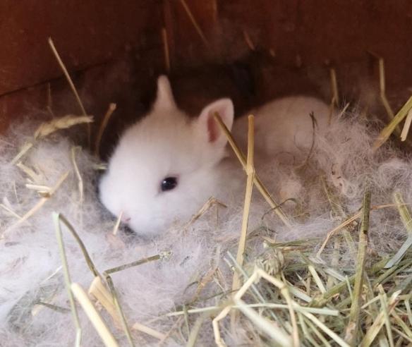 Вилла Sejour A La Ferme Jouques Экстерьер фото