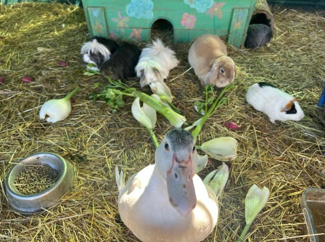 Вилла Sejour A La Ferme Jouques Экстерьер фото