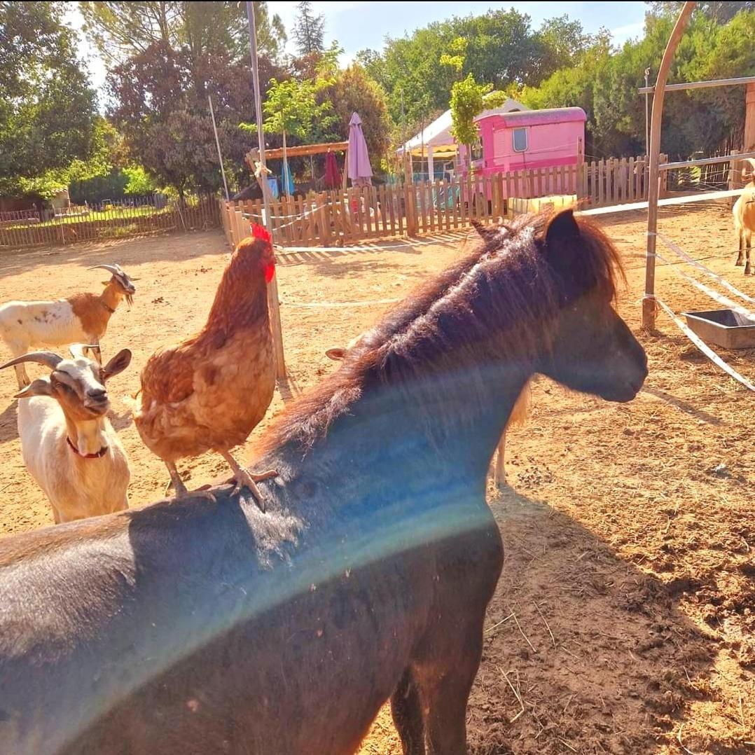 Вилла Sejour A La Ferme Jouques Экстерьер фото